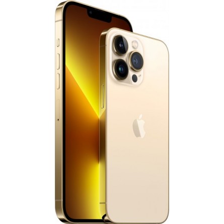 Смартфон Apple iPhone 12 Pro 256Gb Gold (MGMR3FS/A | MGMR3RM/A) фото №4