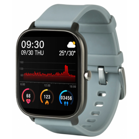Smart годинник Globex Smart Watch Me (Gray)
