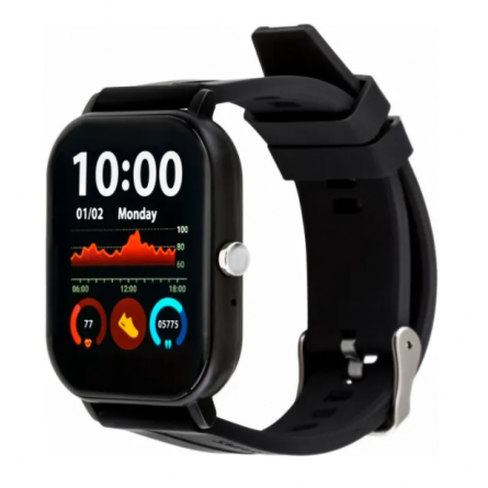 Smart годинник  GO FUN Pulseoximeter and Tonometer black (850472)