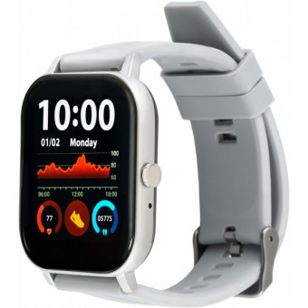 Изображение Smart часы  GO FUN Pulseoximeter and Tonometer gray (850474)