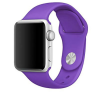 Ремешок DM Silicone-steel buckle для Apple Watch 38/40/41mm Purple