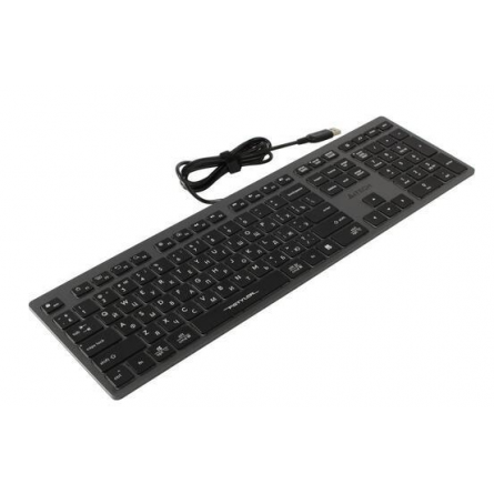 Клавиатура A4Tech Fstyler FX60 (Grey)