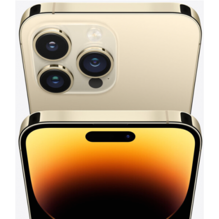 Смартфон Apple iPhone 14 Pro Max 1TB Gold (MQC43) фото №3