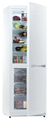 Холодильник Snaige RF31SM-S0002E фото №3