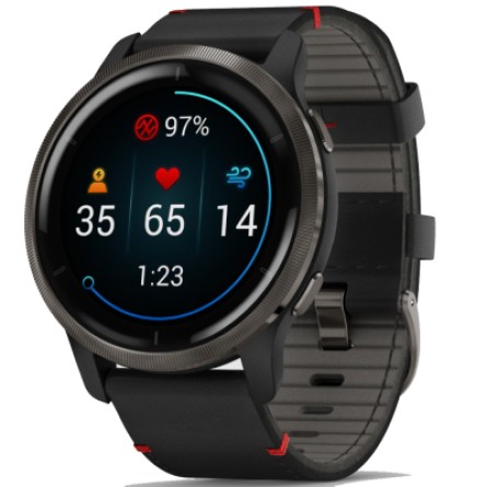 Smart часы Garmin Venu 2, GPS, Wi-Fi, Black   Slate, Leather, GPS (010-02430-21)