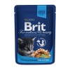 Вологий корм для котів Brit Premium Cat Pouches курка 100 г (8595602506026)