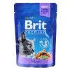 Вологий корм для котів Brit Premium Cat Pouches тріска 100 г (8595602506002)