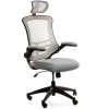 Офісне крісло  RAGUSA, Grey (000002510)