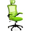 Офісне крісло  RAGUSA, light green (000002511)