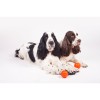 Іграшки для собак Liker М'ячик 7 см (6294) фото №5