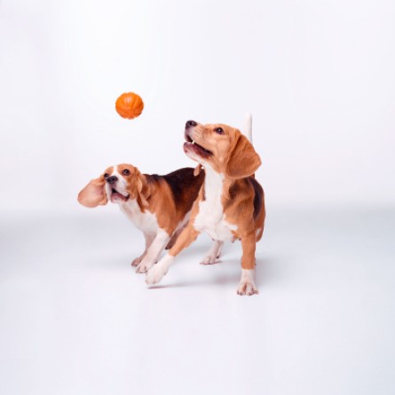 Іграшки для собак Liker М'ячик 7 см (6294) фото №6