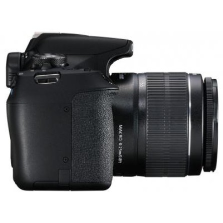 Цифровая фотокамера Canon EOS 2000D 18-55 IS II kit (2728C008) фото №6