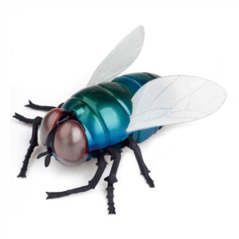 Изображение Радиоуправляемая игрушка Best Fun Toys Giant Fly (6337204)