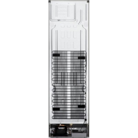 Зображення Холодильник LG GA-B509SLSM - зображення 11