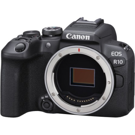 Цифрова фотокамера Canon EOS R10 body (5331C046) фото №2