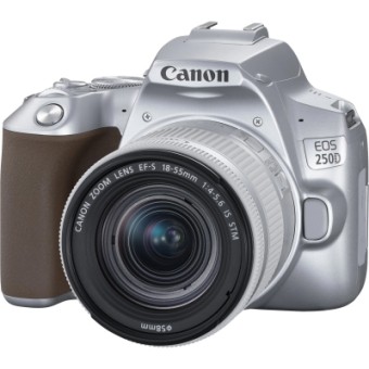 Зображення Цифрова фотокамера Canon EOS 250D kit 18-55 IS STM Silver (3461C003)