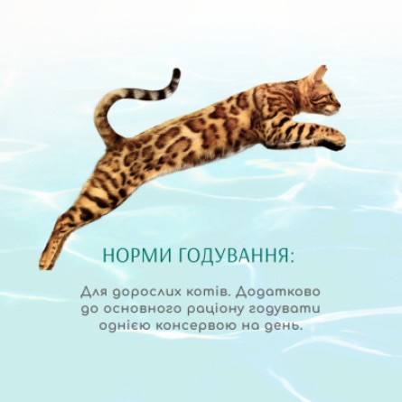 Консерва для котів Optimeal Beauty Fitness смугастий тунець у соусі з креветками 70 г (4820215366229) фото №5