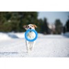 Іграшки для собак Collar PitchDog Кольцо для апортування 28 см голубе (62382) фото №8
