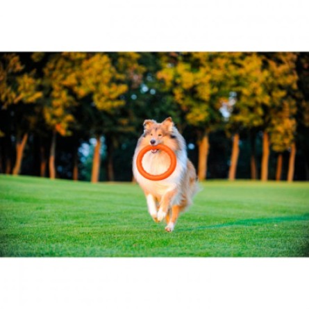 Іграшки для собак Collar PitchDog Кольцо для апортування 28 см оранжеве (62384) фото №3