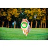 Іграшки для собак Collar PitchDog Кольцо для апортування 28 см салатове (62385) фото №3