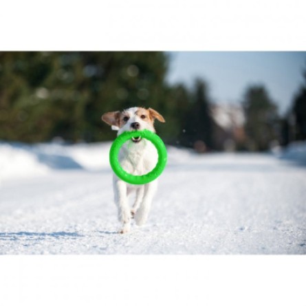 Іграшки для собак Collar PitchDog Кольцо для апортування 28 см салатове (62385) фото №8