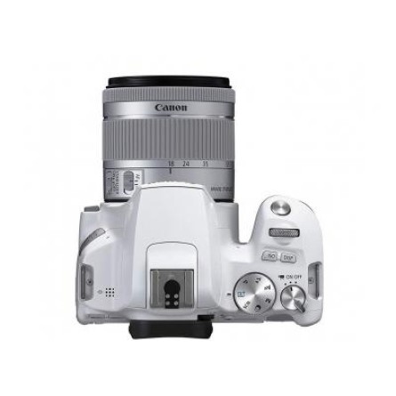 Цифровая фотокамера Canon EOS 250D 18-55 IS White (3458C003AA) фото №5