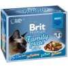 Вологий корм для котів Brit Premium Cat 12 шт х 85 г (8595602519422)