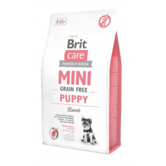 Изображение Сухий корм для собак Brit Care GF Mini Puppy Lamb 2 кг (8595602520138)