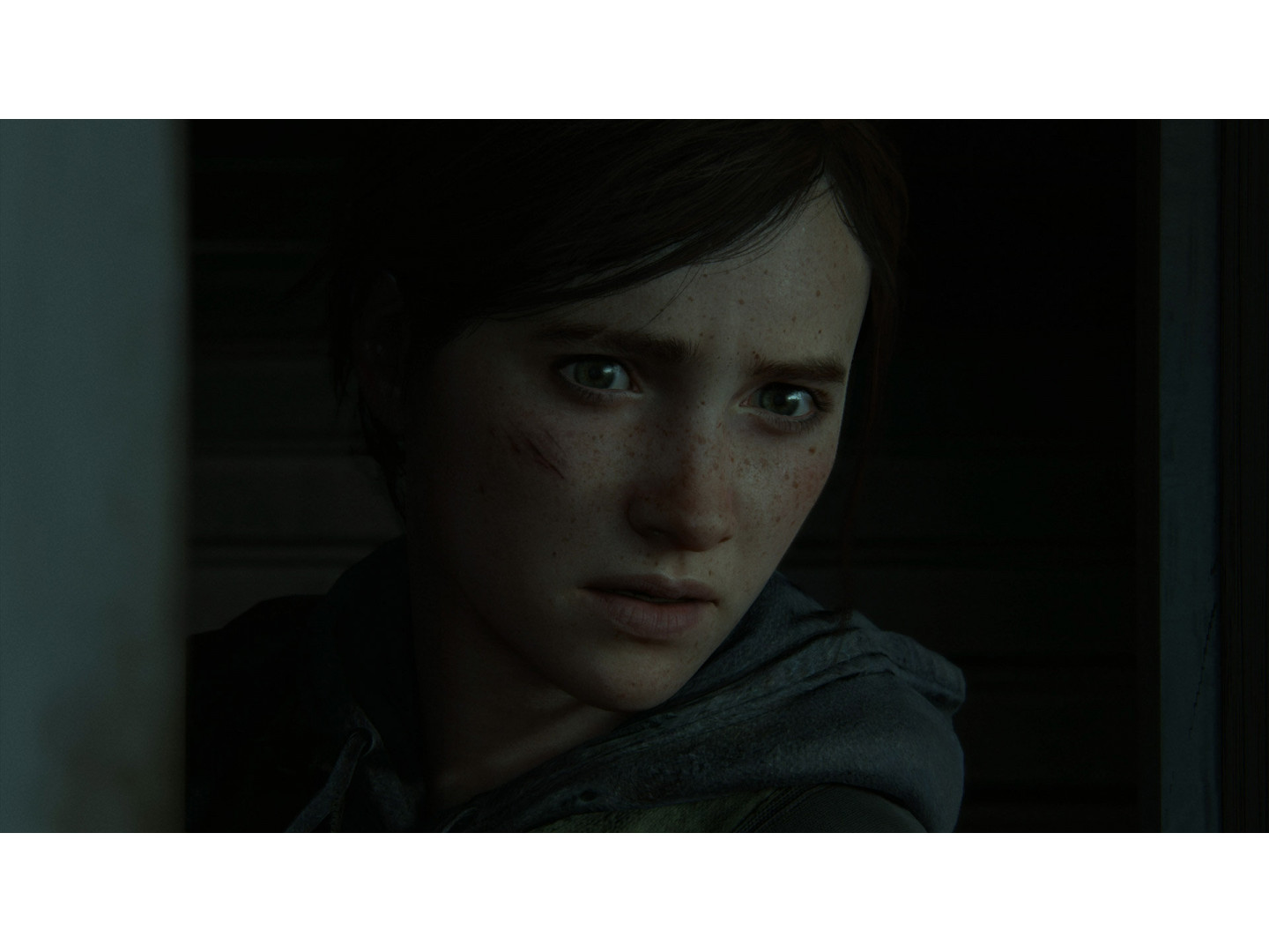 Диск Sony BD диску The Last of us II [PS4, Russian version] фото №3