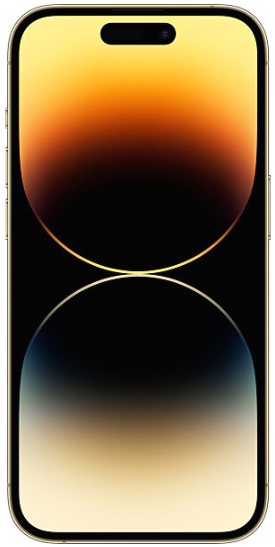 Смартфон Apple iPhone 14 Pro Max 1TB Gold (MQC43) фото №2