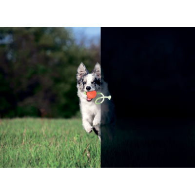 Іграшки для собак Liker Lumi М'ячик зі світлонакопичувальним шнурком 7 см (6283) фото №4