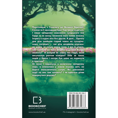 Книга BookChef Таємне озеро - Карен Інґліс  (9789669935663) фото №3