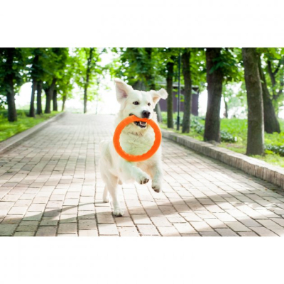 Іграшки для собак Collar PitchDog Кольцо для апортування 28 см оранжеве (62384) фото №4