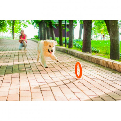 Іграшки для собак Collar PitchDog Кольцо для апортування 28 см оранжеве (62384) фото №5