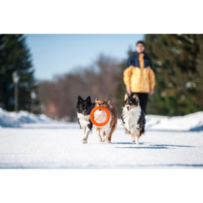 Іграшки для собак Collar PitchDog Кольцо для апортування 28 см оранжеве (62384) фото №6