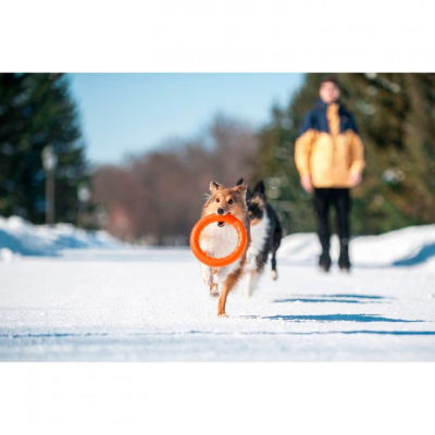 Іграшки для собак Collar PitchDog Кольцо для апортування 28 см оранжеве (62384) фото №7