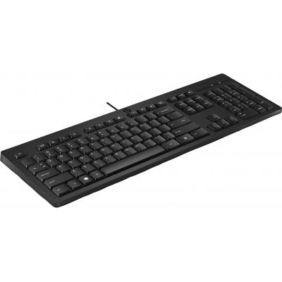Клавіатура HP 125 USB Ukr Black (266C9AA) фото №3