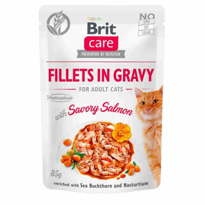 Вологий корм для котів Brit Care Cat pouch 85 г (пікантний лосось в соусі) (8595602540525)
